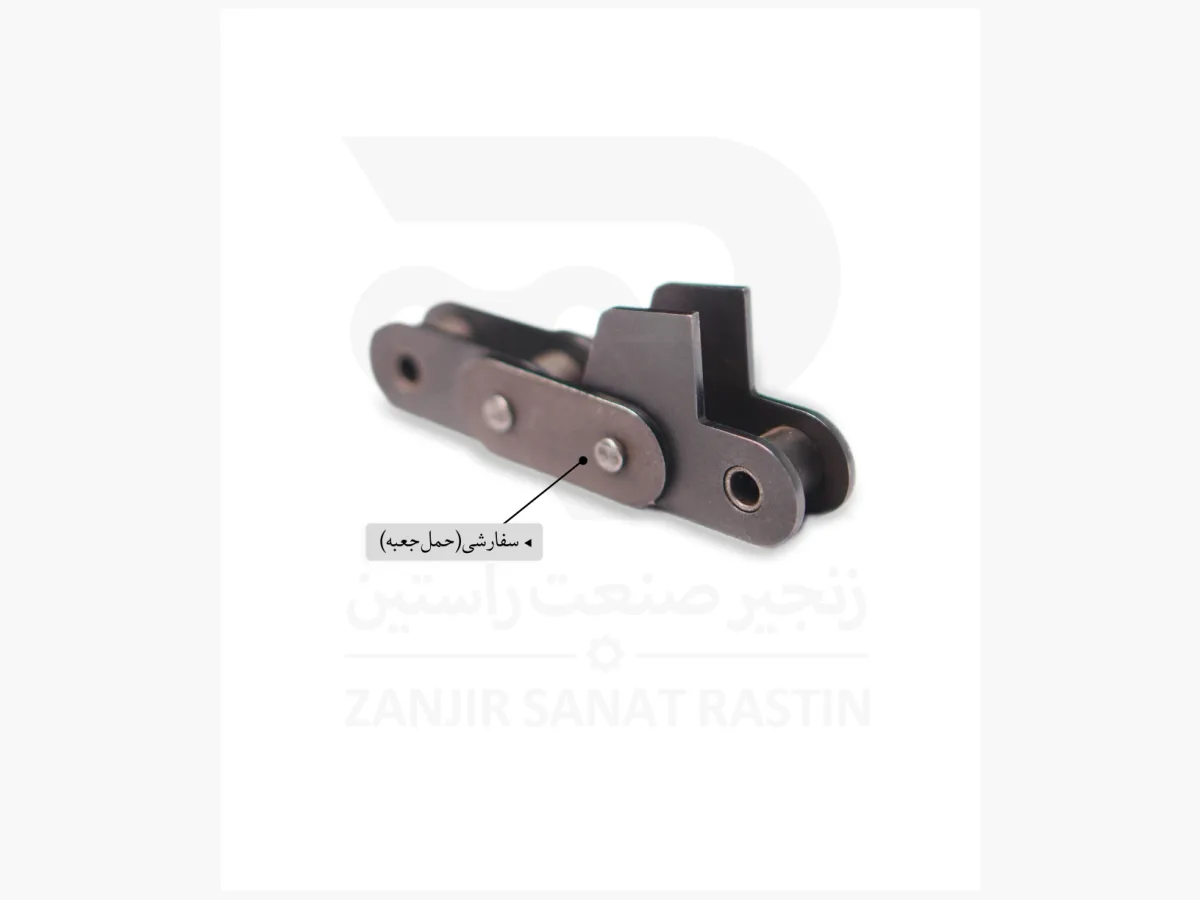 زنجیر شاخکدار - تصویر 7