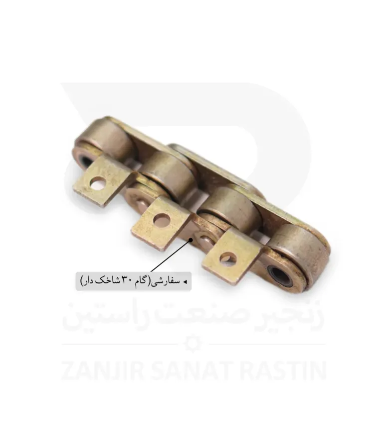گام 30 شاخک دار